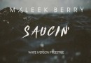 Maleek Berry - Saucin White Iverson Freestyle