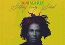Masterkraft - Satisfy My Soul Bob Marley Remake Cover