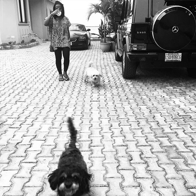 Singer Asa Shows Off Her Car Collection & Dogs (Photo)