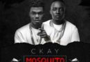 CKay Ft MI & Akanm D Boy - Mosquito