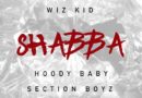 Chris Brown Ft WizKid, Hoody Baby & Section Boyz - Shabba