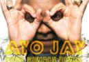Ayo Jay ft. Chris Brown & Kid Ink - Your Number (Remix)