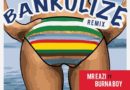 mr-eazi-ft-burna-boy-bankulize-remix-art