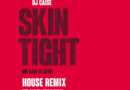 DJ Caise - Skin Tight (House Remix)