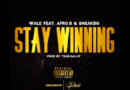 Wale x Afro B x Sneakbo - Stay Winning Prod. By Team Salut