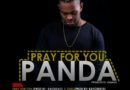 Panda - Pray For You