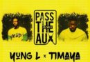 Yung L ft Timaya - Pass The Aux (Remix)