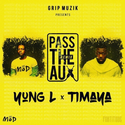 Yung L ft Timaya - Pass The Aux (Remix)