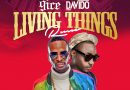 9ice ft Davido – Living Things (Remix)
