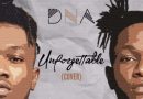 DNA - Unforgettable (Cover)