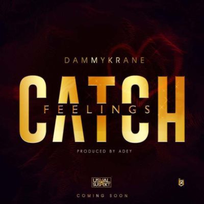 Dammy Krane - Catch Feelings (Prod. By Adey)