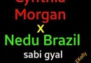 Cynthia Morgan x Nedu Brazil - Sabi Gyal