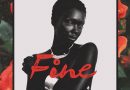 BoyBreed Ft King Perry - Fine