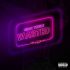 Sean Tizzle - Wasted