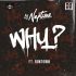 DJ Neptune Ft. Runtown - Why