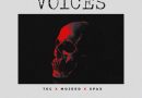 Tec of (SDC) x Mojeed x Spax – Voices