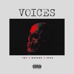Tec of (SDC) x Mojeed x Spax – Voices