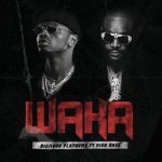 Diamond Platnumz ft Rick Ross - Waka