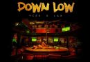 Dammy Krane ft. Ycee x L.A.X - Down Low
