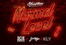 DJ Kaywise Ft Ice Prince, Emmy Gee & Kly - Normal Level
