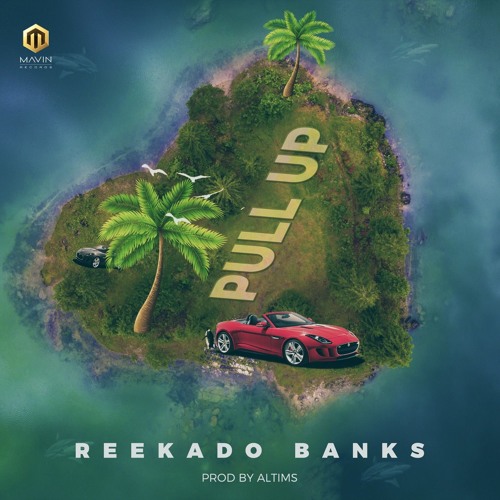 Reekado Banks - Pull Up