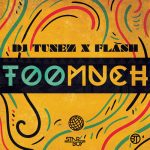 DJ Tunez Ft. Flash - Too Much