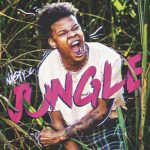 Nasty C - Jungle