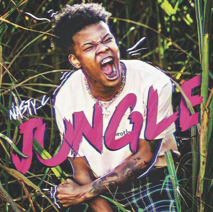 Nasty C - Jungle