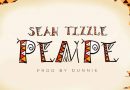 Sean Tizzle - Pempe