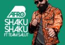 Afro B ft. Team Salut - Shaku Shaku