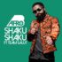 Afro B ft. Team Salut - Shaku Shaku