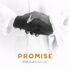 Adekunle Gold & Simi - Promise