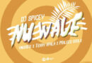 DJ Spicey ft. Yung6ix x Terry Apala x Maleek Souls – Nu Wave