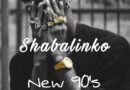 Shabalinko - New 90's