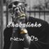 Shabalinko - New 90's