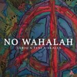 LeriQ Ft. Skales & Teni - No Wahalah