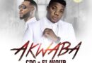 CDQ Ft. Flavour - Akwaba