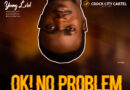 Young Lord - Ok No Problem