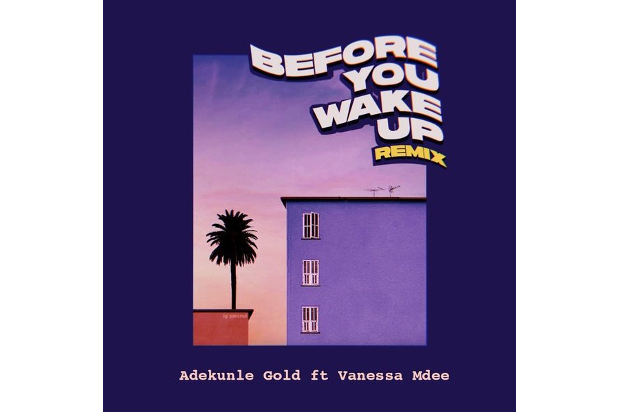 Adekunle Gold Ft. Vanessa Mdee - Before You Wake Up (Remix)