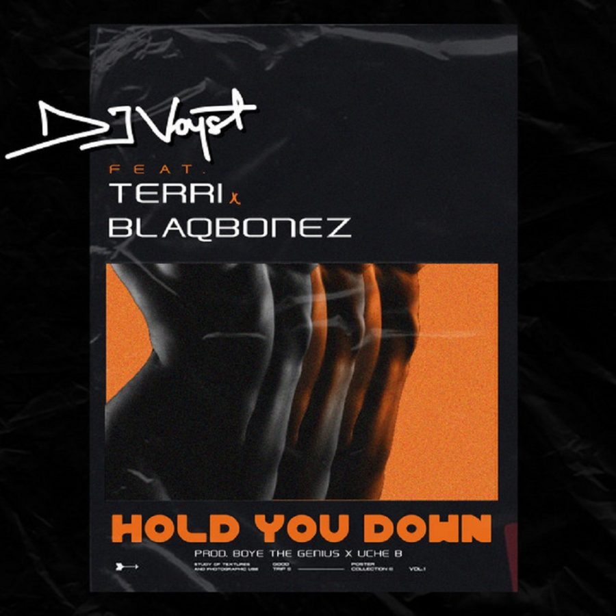 DJ Voyst Ft. Terri & Blaqbonez - Hold You Down