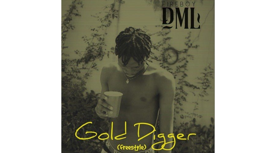 Fireboy DML - Gold Digger (Freestyle)
