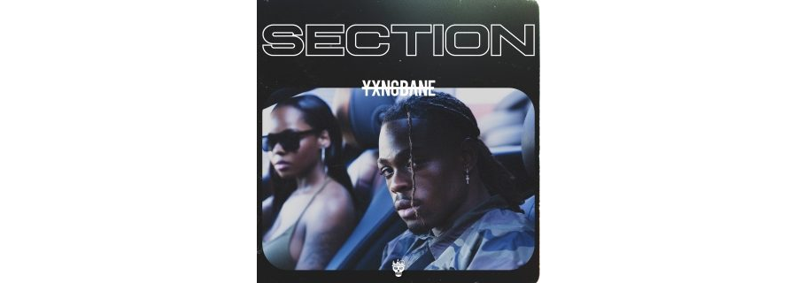 Yxng Bane - Section